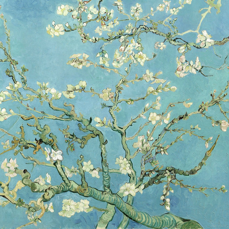 Evanescent visions vincent van gogh collection