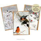 Bruno Liljefors Snowy Winter Scenes with Birds Fine Art Cards with Envelopes