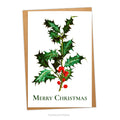 Traditional Holly Illustration Christmas card with envelope