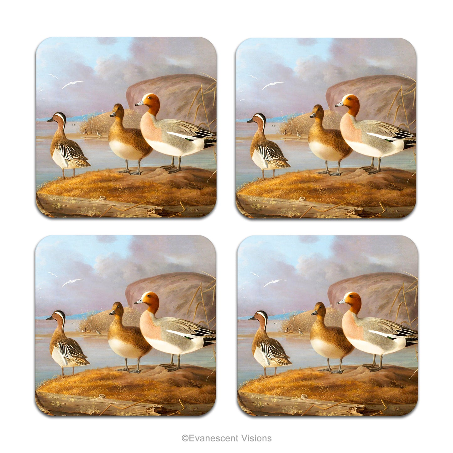 Set of 4 Wigeon Ducks Nature Drinks Coasters with design from painting 'Pair of Wigeons and a Male Teal' by artist Magnus von Wright