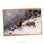 Red Deer Grazing in a Winter Woodland Christmas Card with envelope