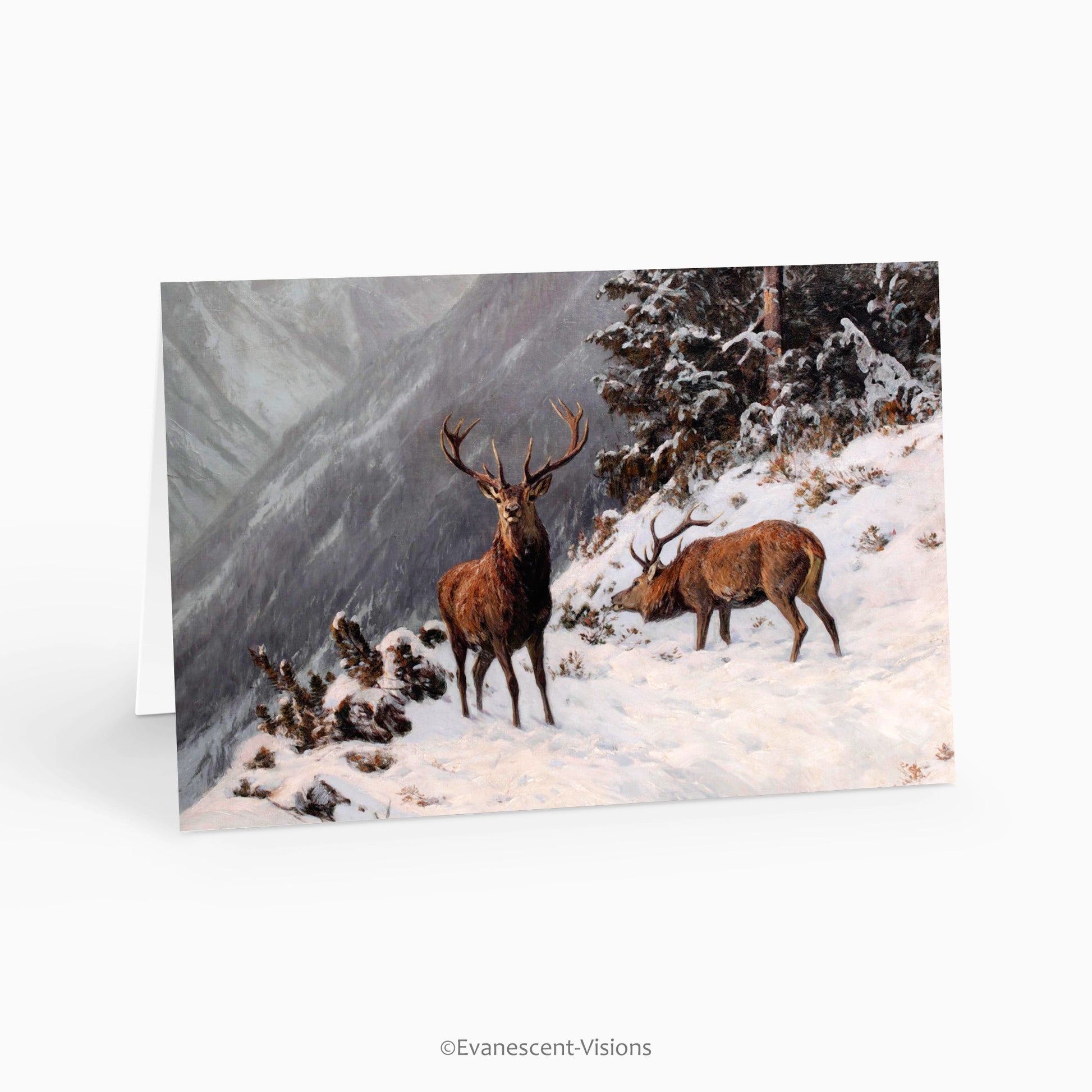 Red Deer Grazing in a Winter Woodland Christmas Card 