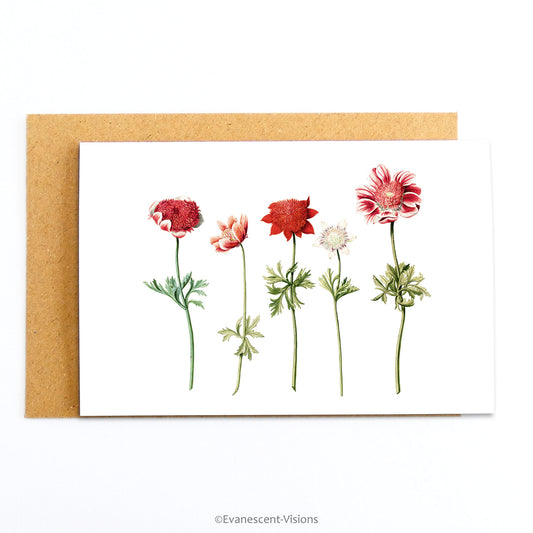 Red Anenomes Botanical Fine Art Greeting Card with envelope