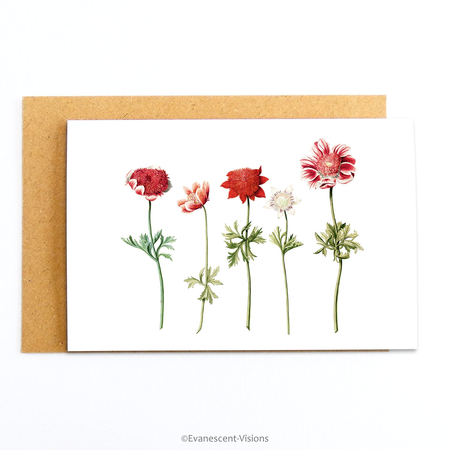 Red Anenomes Floral Fine Art Card, with envelope