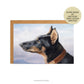 Carl Reichert Doberman Dog Fine Art Greeting Card