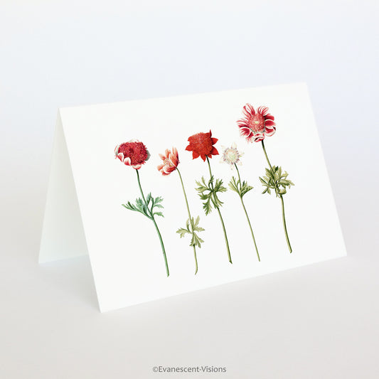 Red Anenomes Botanical Fine Art Greeting Card