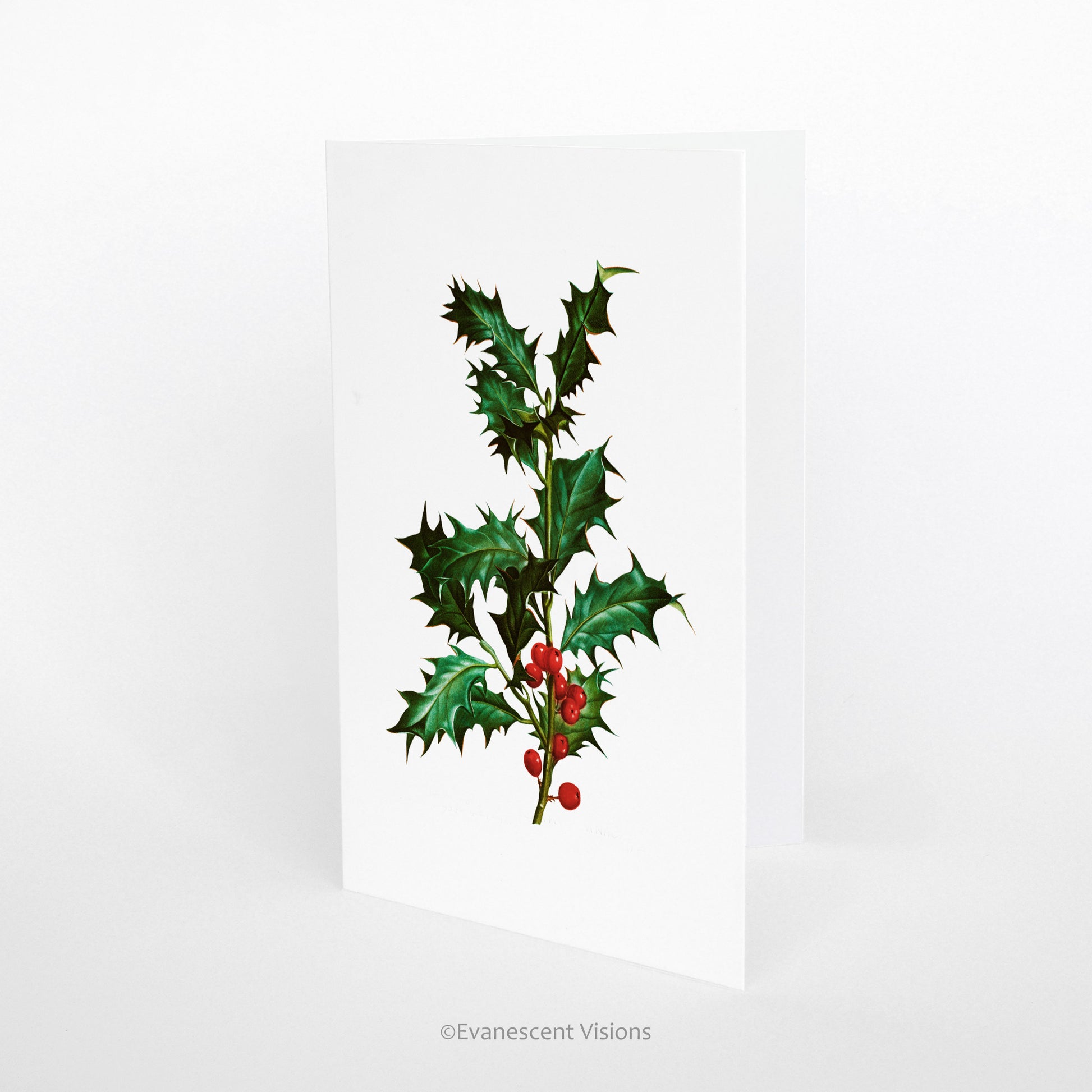 Fine art Holly Christmas Greeting Card