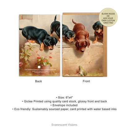 front and back views and product details for the Dachshund Puppies and a Frog Art Notecard