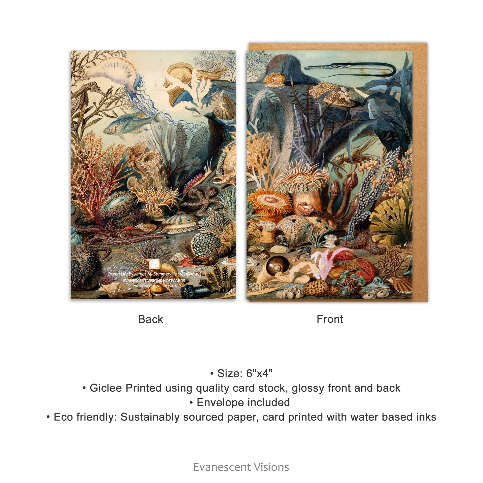 Product details for the Ocean Life Art Notecard / Notelet with Envelope