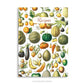 Vintage Fruit and Vegetables Patterned Hardcover Recipe Notebook