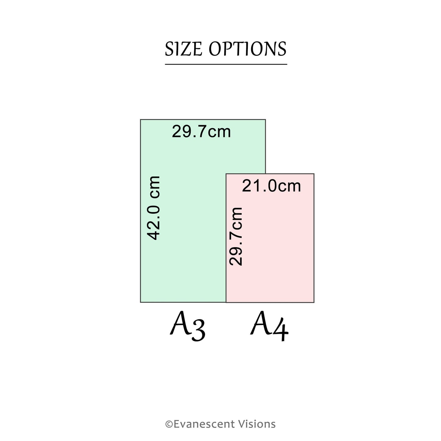 size options with dimensions